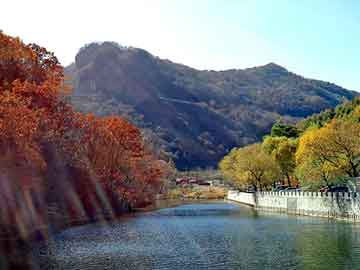 新澳天天开奖资料大全旅游团，雪花啤酒批发